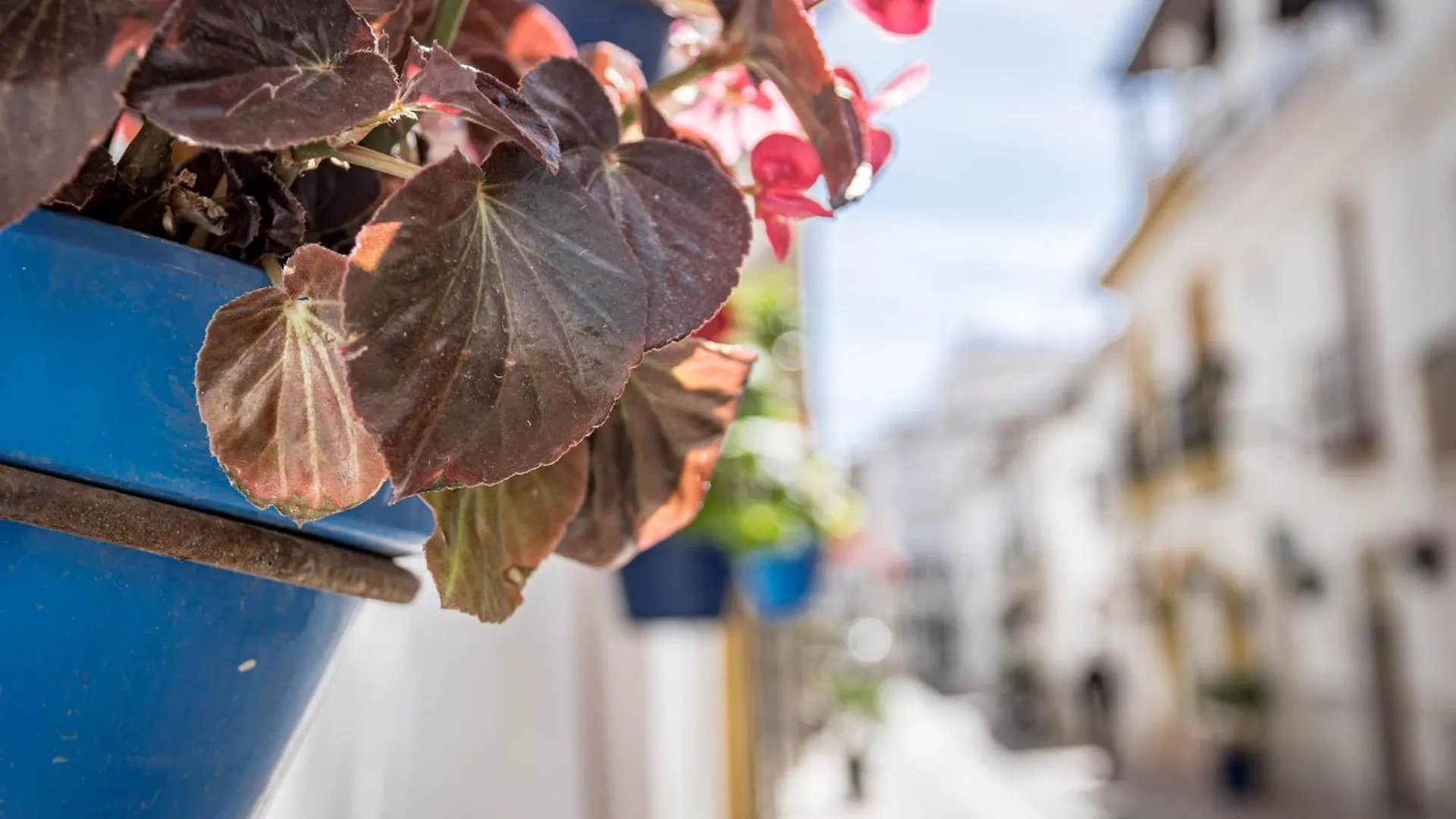 Apartamento Seaclub Suites Estepona